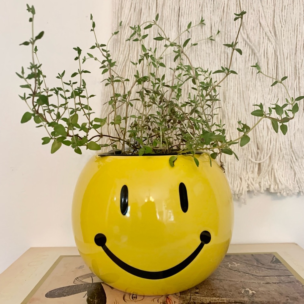 Smiley Face Plant Pot